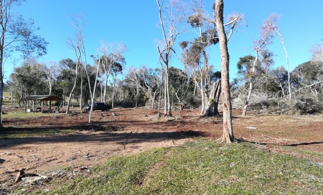 A dos meses del tornado, te mostramos como quedó el Camping de SUETRA
