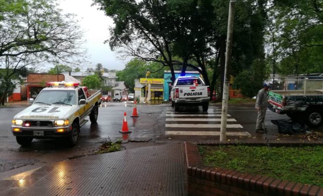 Gajo se desplomó sobre un vehículo en el que viajaban docentes a trabajar