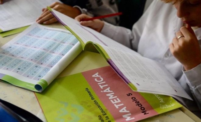 Aprender 2018: los chicos leen un poco mejor, pero siguen mal en Matemática