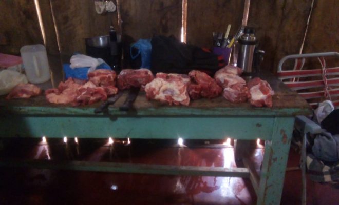 Faenó vacuno de su vecina y prometía asado a los amigos